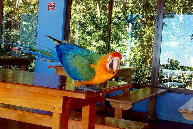 Tortuguero National Park Day Trip from San Jose - FAQ