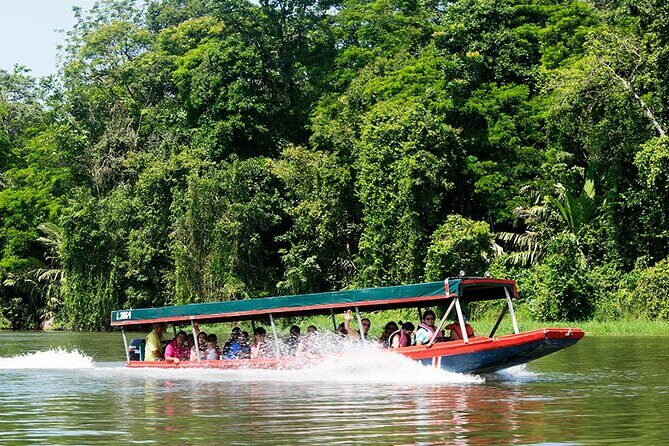 Tortuguero One Day. Private Tour from San Jose - The Value of This Tour