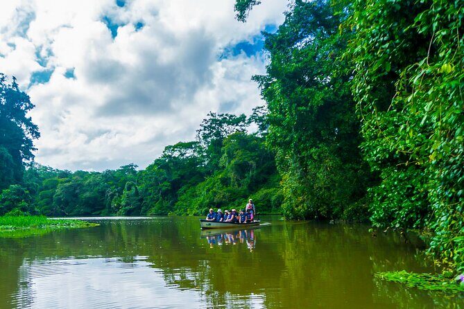Tortuguero:Canoe tour, day hike, hill tour, night or spawning tour - Who Will Love This Tour?