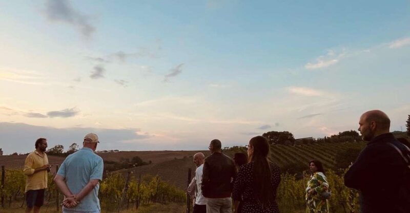 TOSCANA -Guided Tour, Wine Tasting, and Local/Syrian Bites - The Experience in Detail
