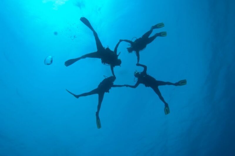 Tossa de Mar: PADI Discovery Scuba Diving in Costa Brava - The Day of the Activity: What You’ll Experience
