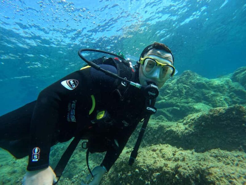 Tossa de Mar: PADI Discovery Scuba Diving in Costa Brava - The Marine Life and Underwater Environment