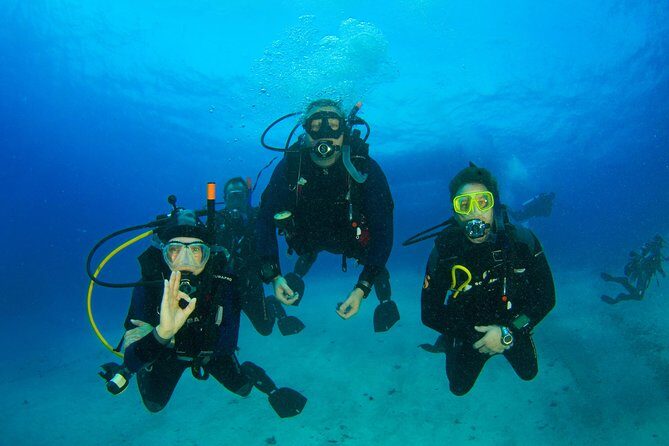 Tossa de Mar Scuba Diving PADI - Who Should Consider This Tour?