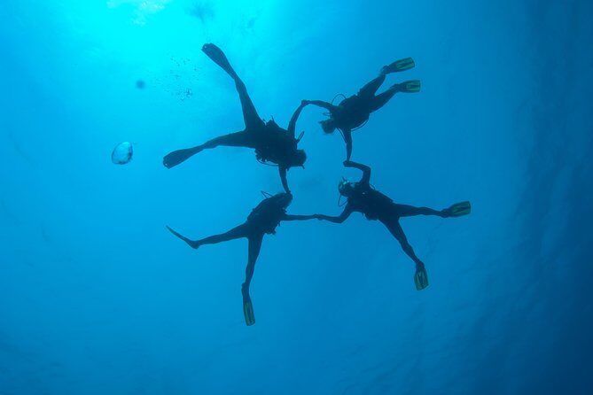 Tossa de Mar Scuba Diving PADI - The Sum Up