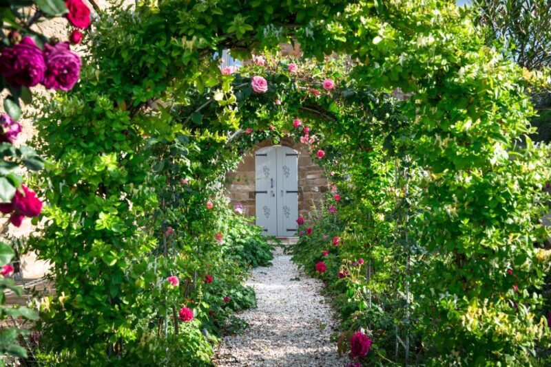 Total Immersion Wine Tour in Chianti - Exploring the Total Immersion Wine Tour in Chianti