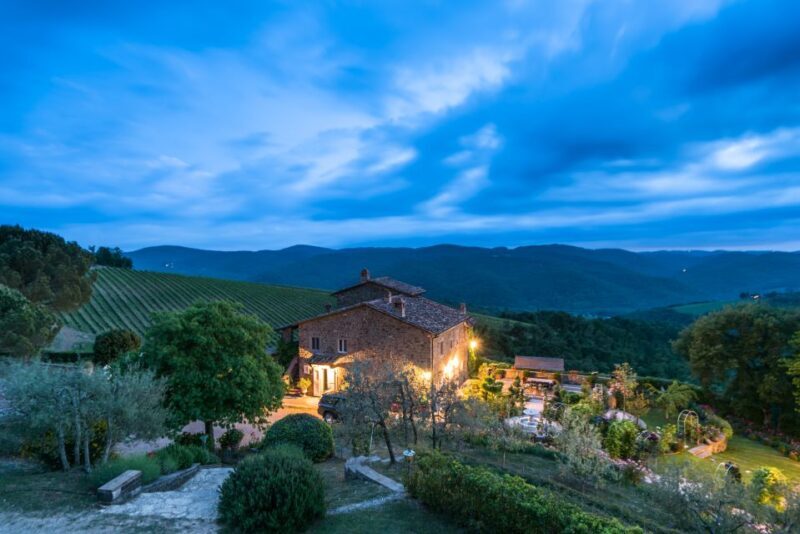 Total Immersion Wine Tour in Chianti - The First Impressions: A Warm Welcome and Breathtaking Vistas