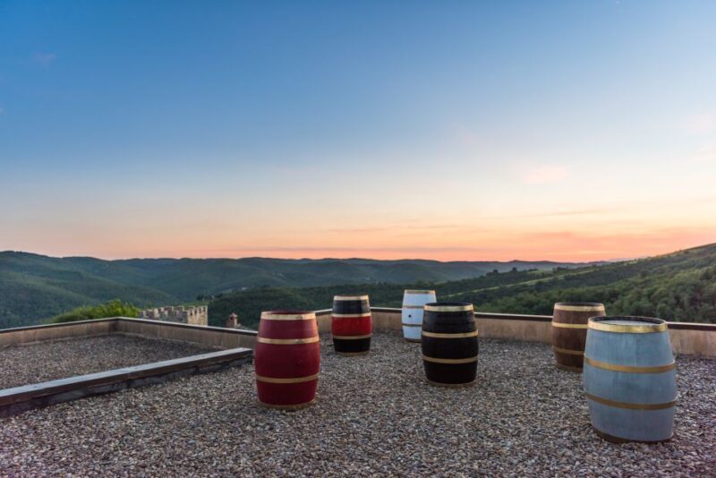 Total Immersion Wine Tour in Chianti - The Vineyard Visit: Seeing Organic Farming in Action