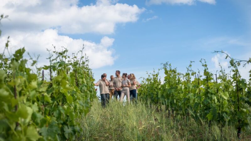 Total Immersion Wine Tour in Chianti - The Bonus: Grappa and Additional Tastings