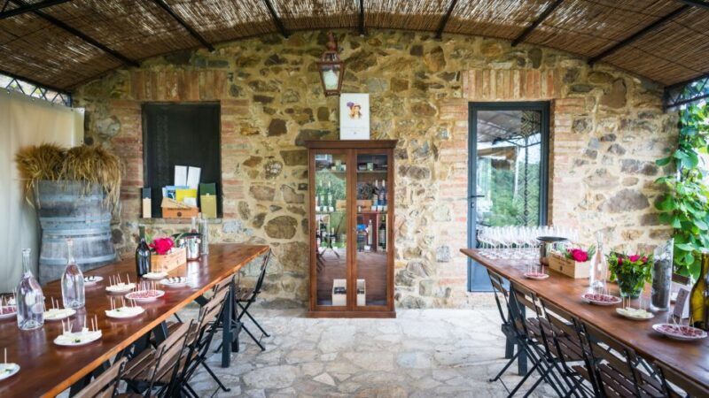 Total Immersion Wine Tour in Chianti - Authenticity and What You Can Expect