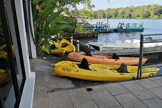 Total Tortuguero Canoe or Kayak+hike+NW(Tortugas from Jul-Oct) - A Deep Dive into the Experience: What You Can Expect