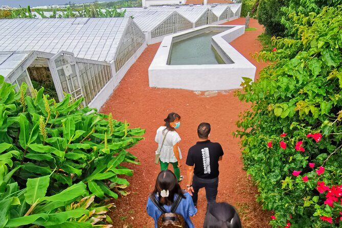 Totally personalized private tour to Sete Cidades and Lagoa do Fogo (west) - The Value of a Private Tour