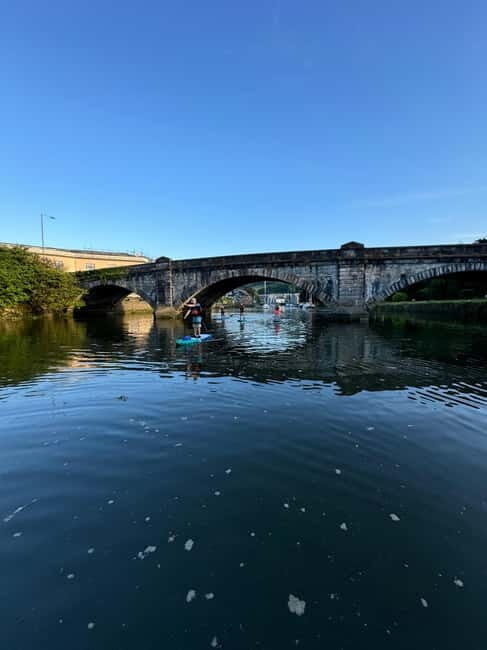 Totnes: Paddleboard adventure on the River Dart - An In-Depth Look at the Paddleboard Tour on the River Dart