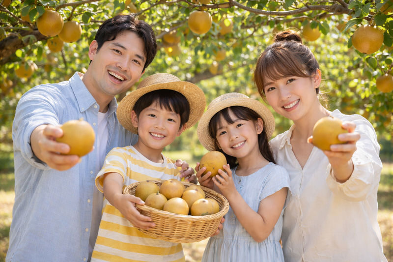 Tottori Sand Dunes & Sand Museum & All-You-Can-Eat Pear Picking (Departing from Osaka) - What makes this Tottori day trip worthwhile