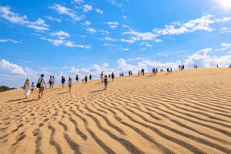 Tottori Sand Dunes & Sand Museum & All-You-Can-Eat Pear Picking (Departing from Osaka) - The road from Dotonbori to Tottori