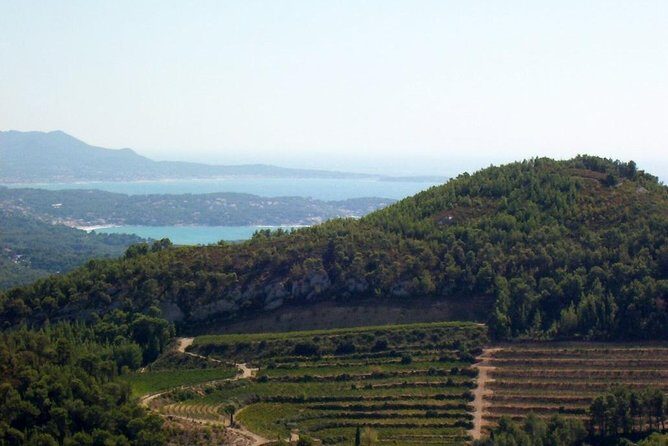 Toulon and Surroundings - 7hour tour - Final Thoughts