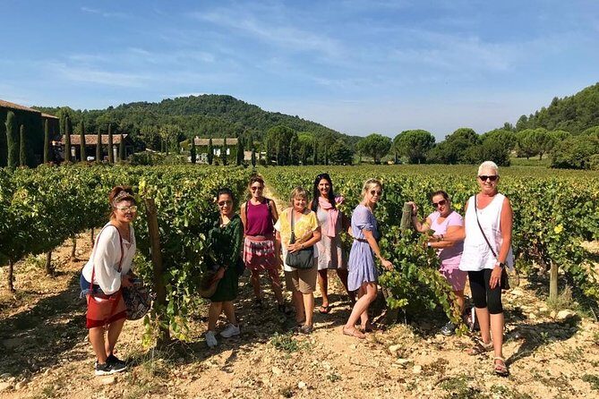 Toulon private Shore Excursion: A taste of Provence - Exploring Toulon’s Private Provence Tour: A Detailed Review