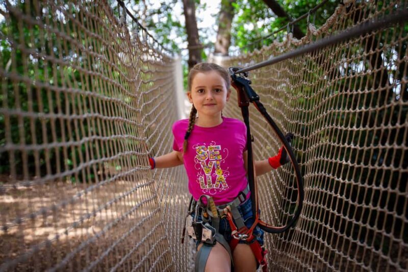 Toulon: Tree climbing course - Key Points