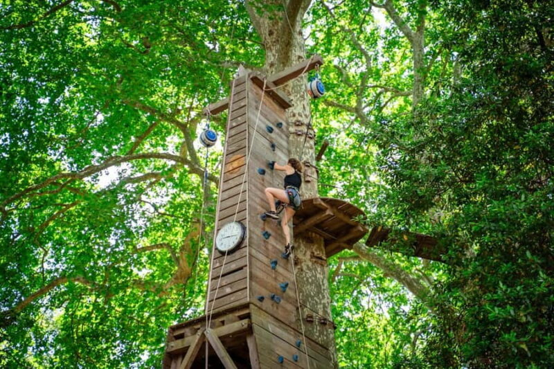 Toulon: Tree climbing course - Authentic Feedback from Visitors
