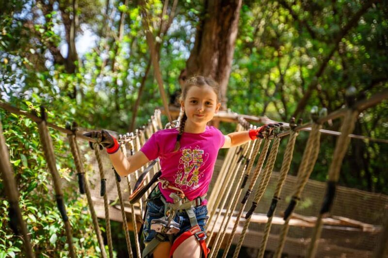 Toulon: Tree climbing course - Who Will Love This Experience?