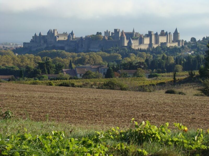 Toulouse to Carcassonne & Albi: Private Sightseeing Tour - Final Thoughts: Is This the Tour for You?