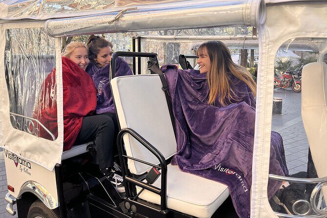 Toulouse Tour in Electric Tuk Tuk - Who Should Book This Tour?