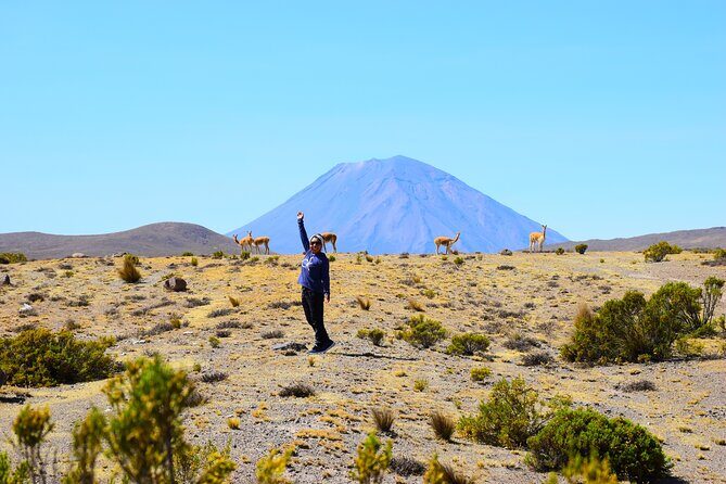 Tour 10 Hours Pillones Waterfall and Puruña Stone Forest - The Sum Up: Why Choose This Tour?