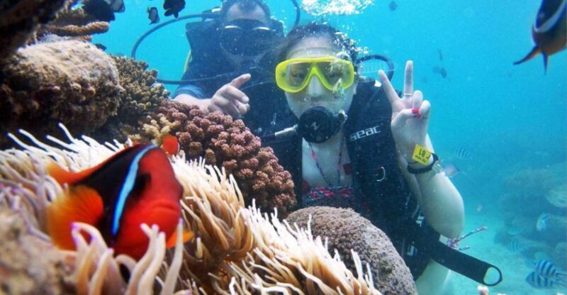 Tour 3 islands of Nha Trang - Exploring the 3 Islands of Nha Trang: A Practical Guide to This Vibrant Day Trip