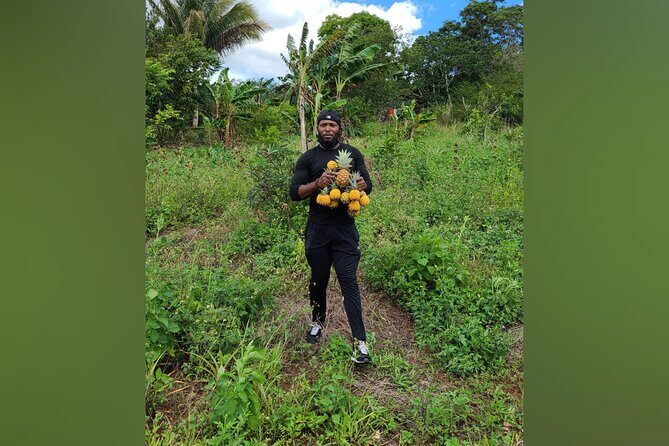 Tour a Jamaican Farm - Key Points