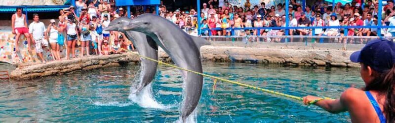 Tour Acuario centro de vida Marina y playa blanca! - Final thoughts