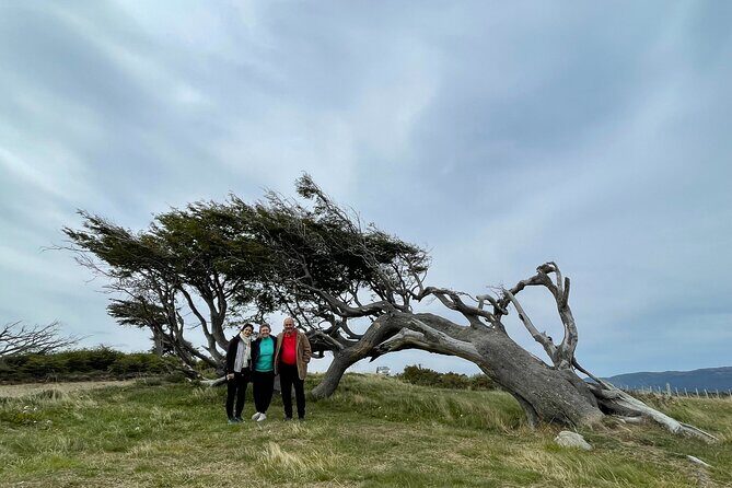 Tour Adventure Puerto Almanza Nature Delights of the Beagle - Key Points