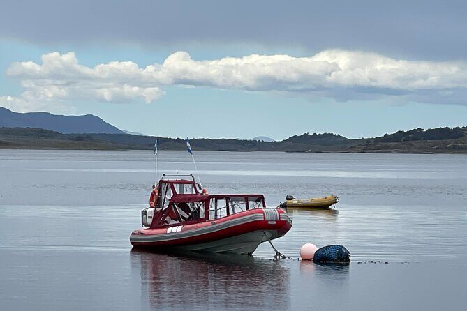 Tour Adventure Puerto Almanza Nature Delights of the Beagle - FAQs