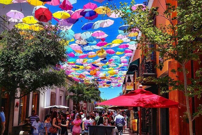 Tour al Rancho Vicente Fernandez, Chapala y Tlaquepaque - Who Is This Tour Best For?