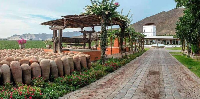 Tour along the Pisco Route Private - A Closer Look at the Tour Along the Pisco Route