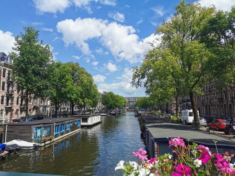 Tour Amsterdam: Old Town, Jewish Quarter and Flower Market - Deep Dive into the Experience: What Travelers Say