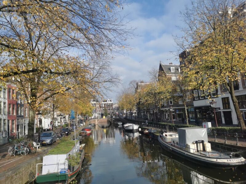 Tour Amsterdam: Old Town, Jewish Quarter and Flower Market - Who Would Love This Tour?