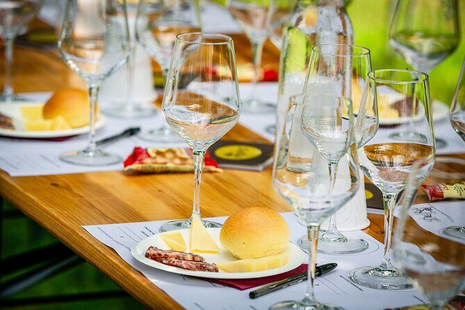 Tour and 3 wines tasting in the Prosecco Hills - Key Points