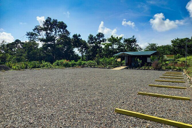 Tour and Night Walk La Fortuna - The Sum Up: Is It Worth It?