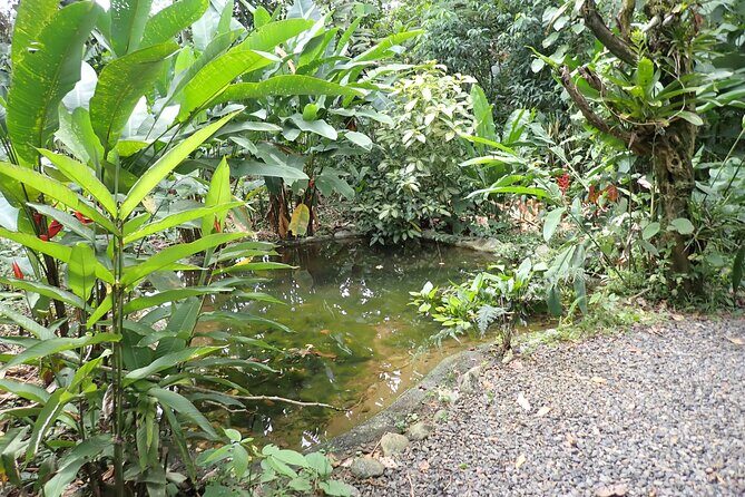 Tour and Night Walk La Fortuna - FAQ Section