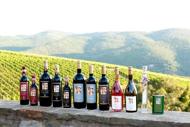 Tour and Tasting at an Organic Winery in the Heart of Chianti Classico Area - The Authentic Taste of Chianti: Tour and Tasting at an Organic Winery