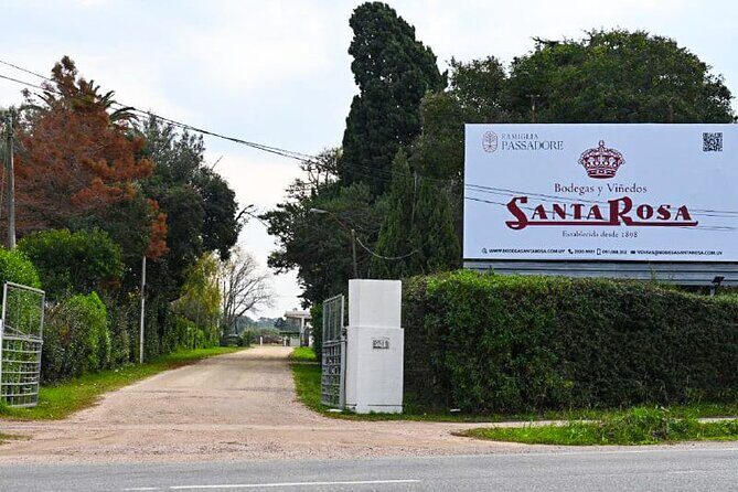 Tour and tasting at Bodega Santa Rosa - The Heart of the Experience: What You Can Expect