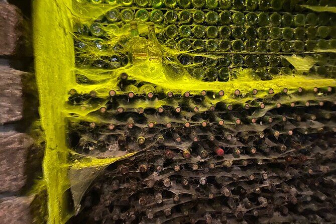 Tour and tasting at Bodega Santa Rosa - Final Thoughts