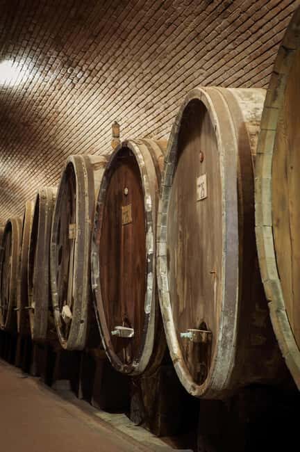 Tour and tasting at the Casalbosco estate - Key Points