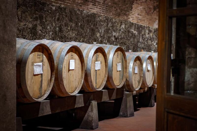 Tour and tasting at the Casalbosco estate - The Sum Up