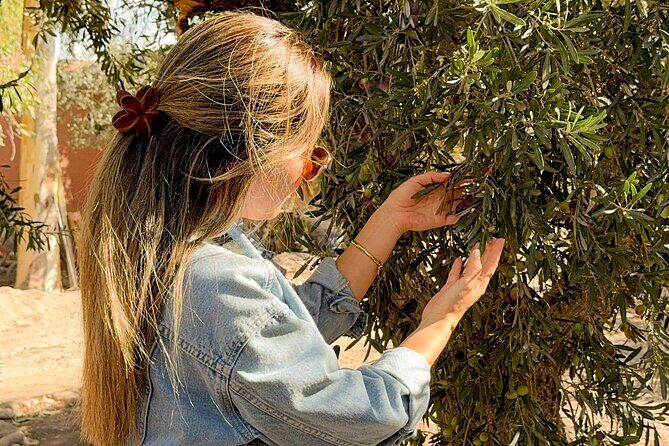 Tour and Tasting in 3 Wineries and 1 Olive Tree in Maipu - An In-Depth Look at the Tour Experience