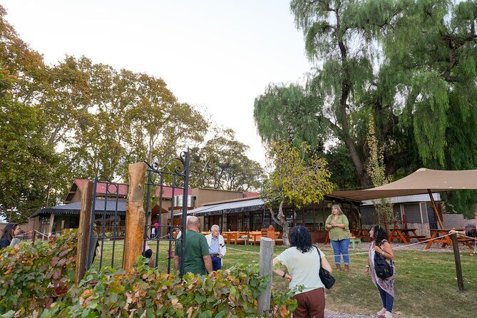 Tour and Tasting in 3 Wineries and 1 Olive Tree in Maipu - FAQs