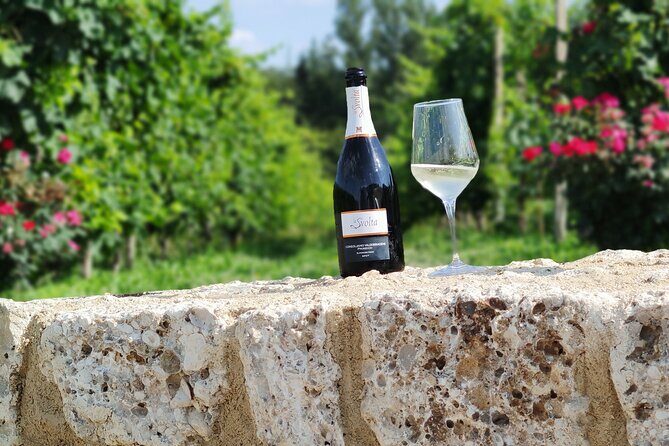 Tour and tasting in the hills of Prosecco Superiore DOCG - Exploring the Details of the Tour