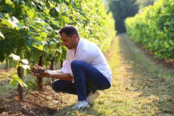 Tour and tasting in the hills of Prosecco Superiore DOCG - Frequently Asked Questions