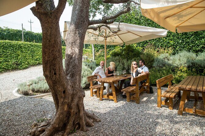 Tour and Tasting of Organic Wines in Lazise - Discover the Charm of Organic Wine Tasting in Lazise