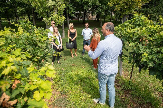 Tour and Tasting of Organic Wines in Lazise - Final Thoughts: Why This Tour Stands Out