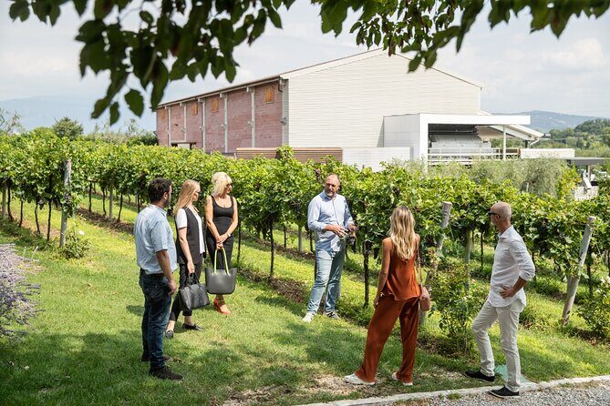 Tour and Tasting of Organic Wines in Lazise - Frequently Asked Questions